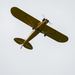 20240727DSC08193