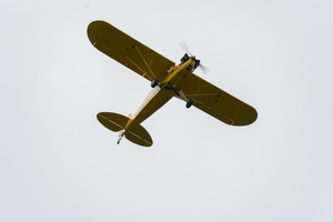 20240727DSC08193