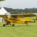 20240727DSC08230