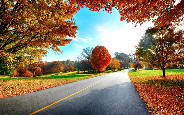 Beautiful-Autumn-Road-Hi-Res-Wallpapers-6327