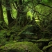 Deneb_Eco_Fictional