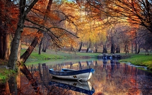 lake-boat-tree-forest