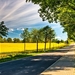 late-summer-HD-Wallpaper-Landscape