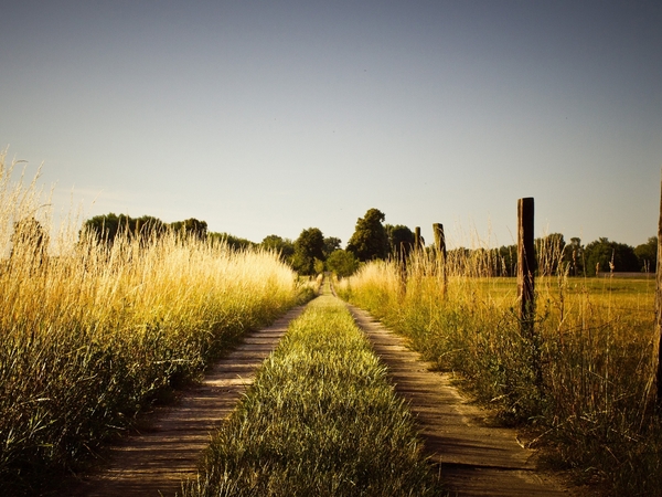 summer-country-road-wallpaper-1