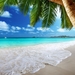 sunlight-sea-bay-shore-beach-coast-palm-trees-tropical-lagoon-Car