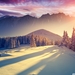 sunset_winter_shadows-wallpaper-1920x1200