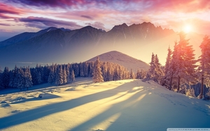 sunset_winter_shadows-wallpaper-1920x1200