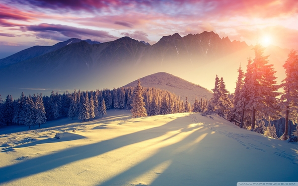 sunset_winter_shadows-wallpaper-1920x1200