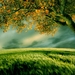 Top-Beauty-Nature-4K-Wallpaper
