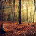 wallls.com_65293