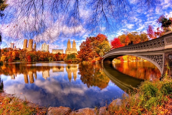 Architecture-Reflection-in-Central-Park-2880x1920