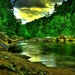 Forest-Desktop-Wallpaper-HD-WSW1017401