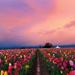 wallpapers-hd-widescreen-high-quality-desktop-free-download-15
