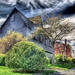 ws_Around_House_1920x1440