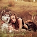 138323-dog-hugging-women_outdoors-animals-closed_eyes