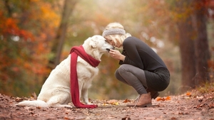 138360-women_outdoors-laughing-crouching-animals-dog-fall-blonde