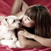 Dogs_Brown_haired_466371
