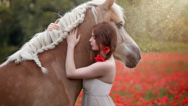 Girl-hug-horse-rain_1920x1080