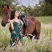 Horses_Asian_Grass_493344_1334x750