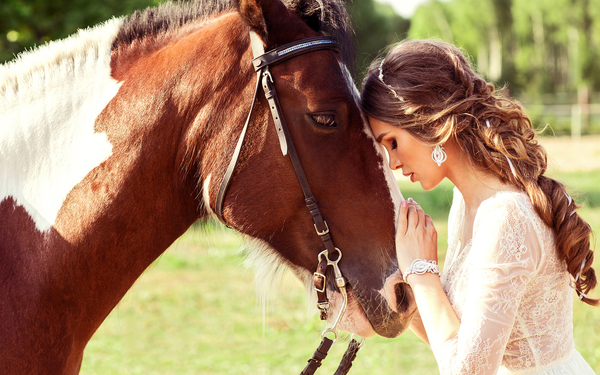 Horses_Brown_haired_493202_3840x2400