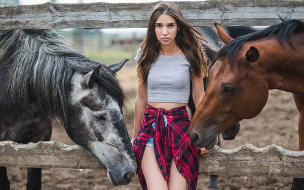 Horses_Fence_504855_2560x1600