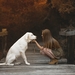 labrador-retriever-with-cute-girl-3840x2400