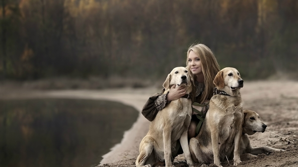 girl-with-labradors-hd-2048x1152