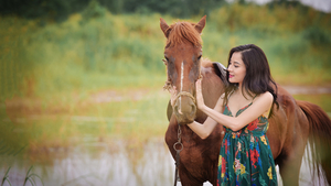 Horses_Asian_503623_2560x1440