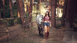 Horses_Brown_haired_Shorts_Formal_shirt_Wearing_517646_3840x2160