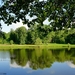 79963_gallery.world