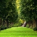 938114-forests-green-grass-landscapes-natural-natural-scenery-nat