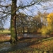 flooded-field-nature-hd-wallpaper-1920x1080-24515
