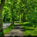 germany_wetzlar_park_trees_summer_hdr_108628_3000x2000