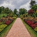 parks-shrubs-longwood-kennett-square-nature
