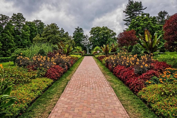 parks-shrubs-longwood-kennett-square-nature