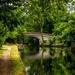 picture-163099