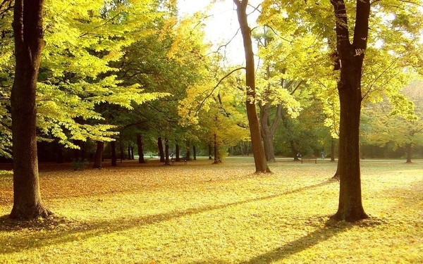 preview_autumn_park_1680_x_1050_widescreen