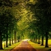 Sheffield-England-park-trees-road-autumn-yellow-leaves_1024x768
