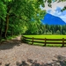road-forest-park-spring