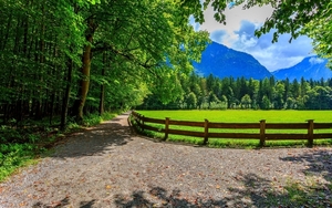 road-forest-park-spring