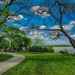 USA_Parks_Dallas_Texas_Lawn_Trees_526648_2880x1800