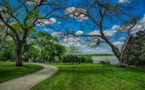 USA_Parks_Dallas_Texas_Lawn_Trees_526648_2880x1800