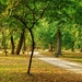 wallpaper-13081-8135735-8-5912811