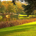 yard-lawn-trees-3840x2160
