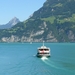 Lucerne-Background-