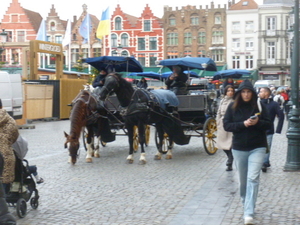 de paarden