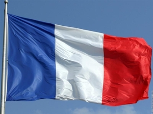 Framkrijk  224   Franse vlag (Medium)