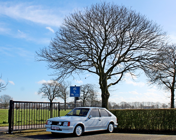 IMG_2527_Opel-Kadett-GTC_wit_O-AFE-984