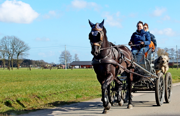 IMG_2531_Rustige-wegen_1-paard-2-vrouwen-1-hond
