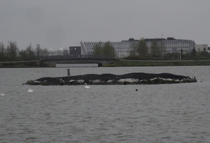 4B Reykjavik DSC00051